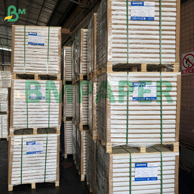 ورقة ورق أساسية خالية من الكربون متعددة الألوان CF CFB CB للنموذج المكرر