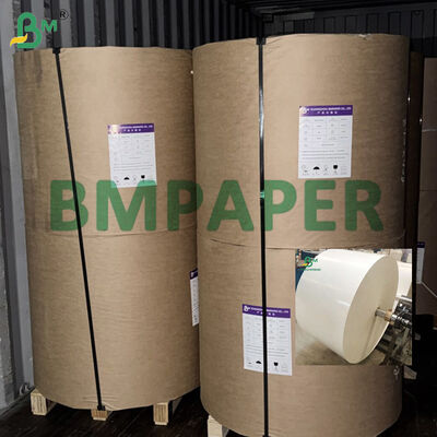 865 مم 940 مم لفات ورق Cupstock بيضاء للطعام 150-320gsm + طلاء PE